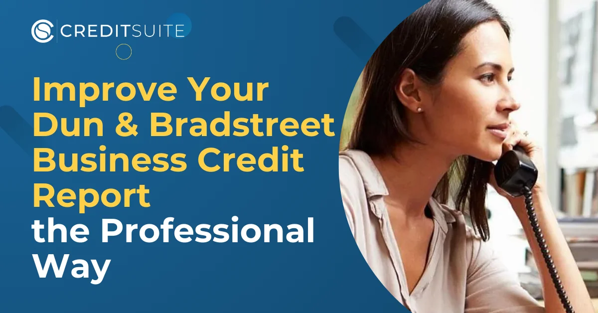 5 Ways to Improve Your Dun & Bradstreet Business Credit Report the Professional Way