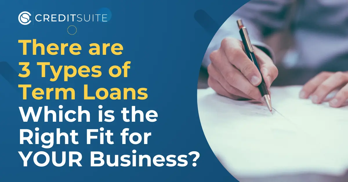 Business Term Loans: 3 Types & How to Qualify